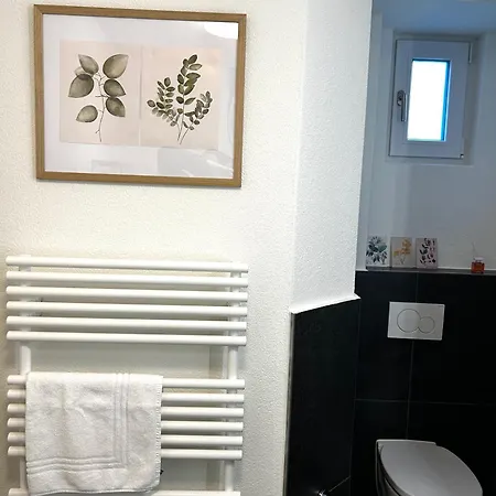 Apartman Klara 0002 - Olma, Spital, Uni St- Gallen *
