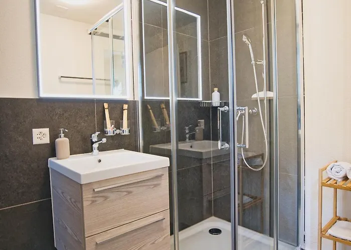 Apartament Klara 0002 - Olma, Spital, Uni St- Gallen