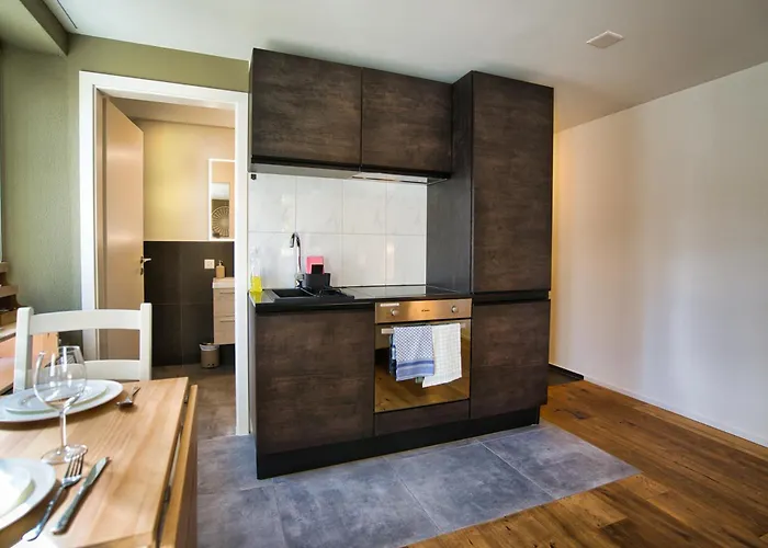 Apartment Klara 0002 - Olma, Spital, Uni St- Gallen *